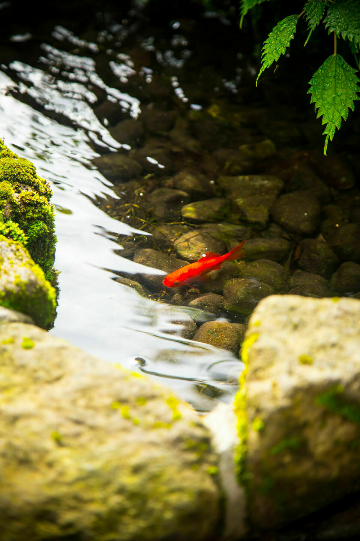 료칸 여명 旅館 黎明 Ryokan Reimei Yufuin Luaran gambar